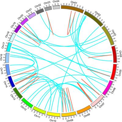 Genome-Wide Identification and Analysis of the Class III Peroxidase Gene Family in Tobacco (Nicotiana tabacum)